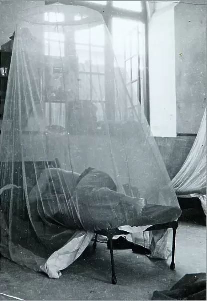 sleeping mosquito net
