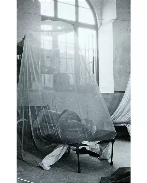 sleeping mosquito net
