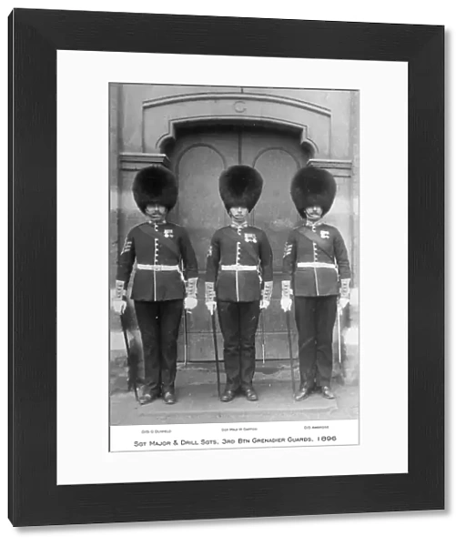 1896 3rd btn grenadier guards d  / s ambrose d  / s g dunkeld