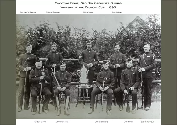 1895 3rd btn grenadier guards c  /  sgt j browne