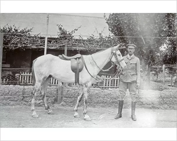 1901 brevet (horse)