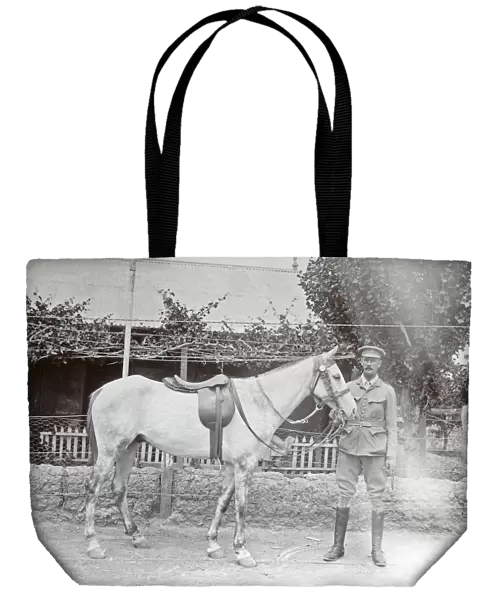 1901 brevet (horse)