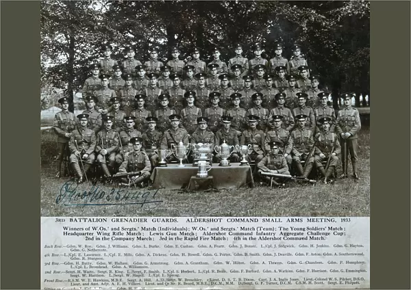 3rd battalion aldershot small arms meeting 1933