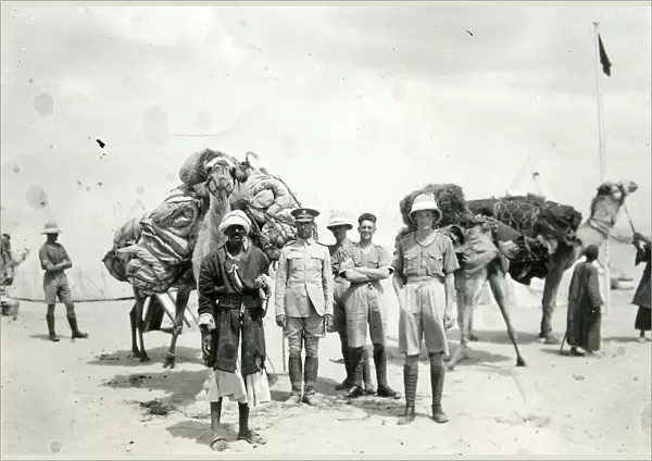camel transport