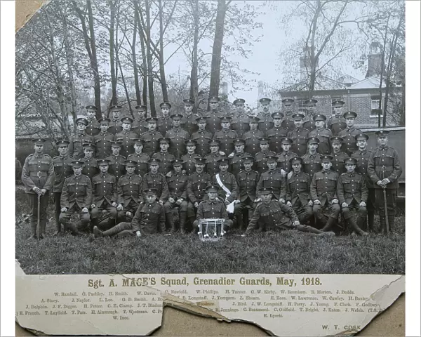 sgt a maces squad may 1918 randall pashley