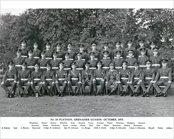 no. 24 platoon october 1973 woodman taylor dunne