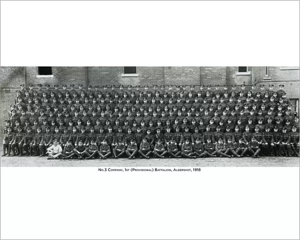 no. 3 company 1st (provisional) battalion aldershot
