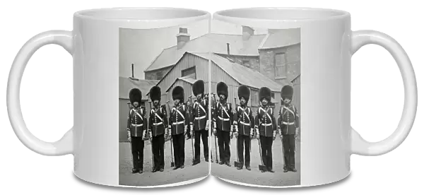 Pioneers, 3rd Battalion, Dublin 1868 Box 4, Grenadiers 4850