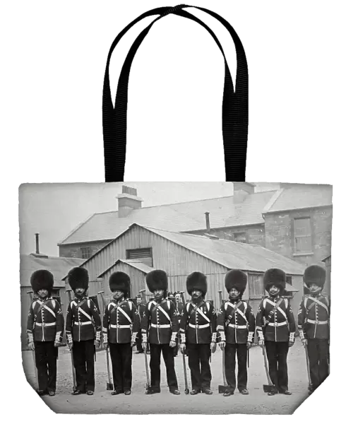 Pioneers, 3rd Battalion, Dublin 1868 Box 4, Grenadiers 4850