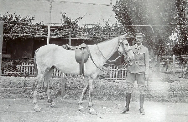 1901 brevet (horse). 1901, brevet (horse), Album 25, Grenadiers1039