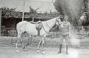 1900s S.Africa Gallery: 1901 brevet (horse)