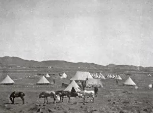 1900s S.Africa Gallery: 1902 de aar no 5 coy oficers mess and camp