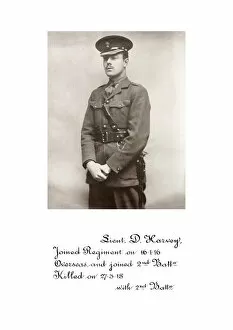 1918 Officer memorial album 4 Gallery: 3868 Lieut D Harvey