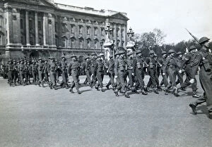 6th Battalion Collection: 6th battalion buckingham palace may 1944