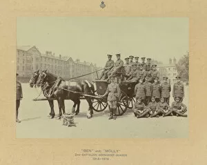 2nd Battalion 1919 Gallery: Ben & Molly 2nd Bn Grenadier Gds 1914-1919