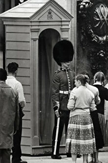 1950s, 1960s and 1970s Collection: buckingham palace sentry