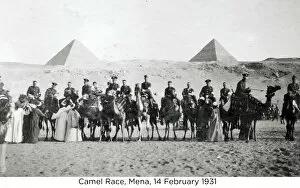 Mena Gallery: camel race mena 14 february 1931