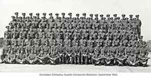 -10 Gallery: grenadier company guards composite battalion