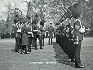 Wellington Barracks 1908 Gallery: Inspection at Wellington Barracks 1908 Grenadiers1250