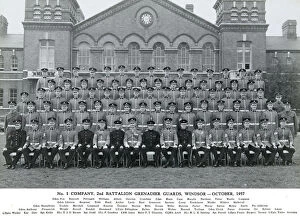 Dyer Collection: no. 1 company 2nd battalion grenadier guards