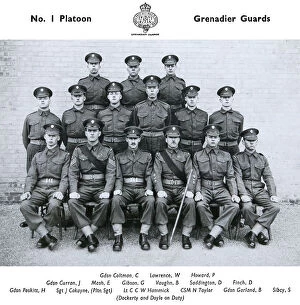 Gibson Gallery: no.1 platoon coltman lawrence howard curran mash