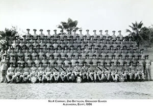 1929-1961 2 Bn Gallery: no.4 company 2nd battalion grenadier guards alexandria