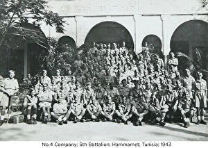 4 Company Collection: no.4 company 5th battalion hammamet tunisia 1943