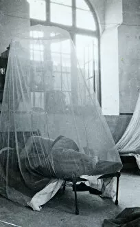 1936 2 Bn Egypt Gallery: sleeping mosquito net