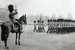 Horse Guards Parade Gallery: trooping gthe colour horse guards parade