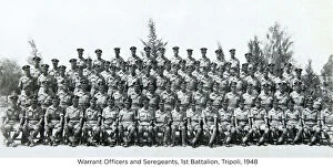 Tripoli Collection: warrant officers and seregeants 1st battalion