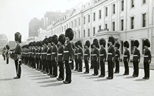 Parade Gallery: wellington barracks parade